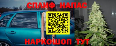 mdpv Славгород