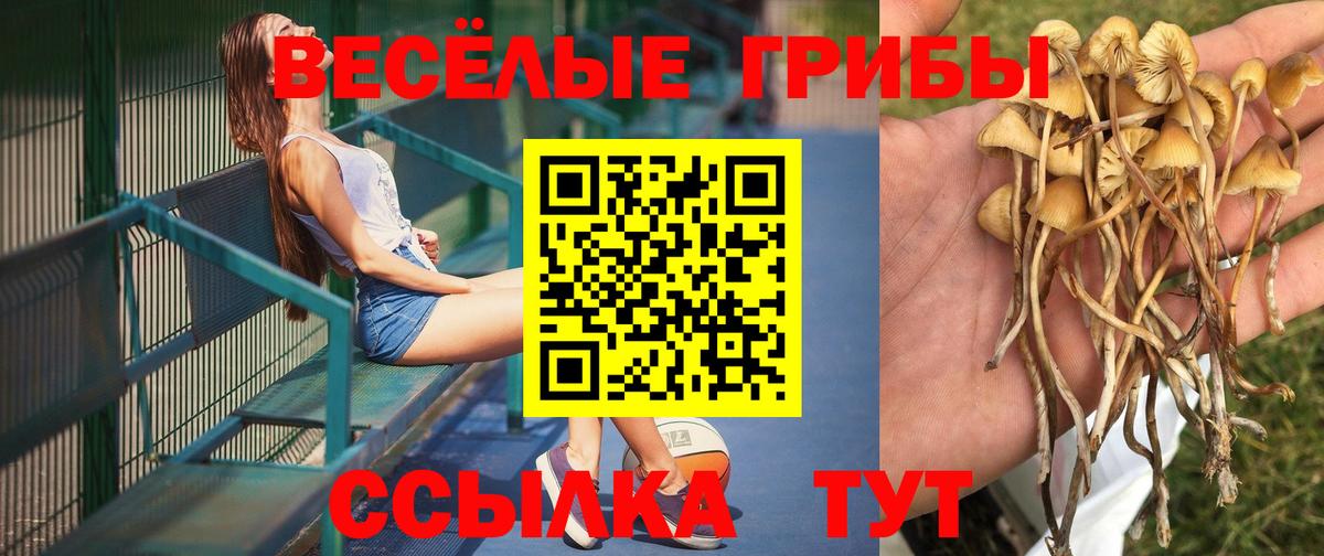 Новочеркасск  Галлюциногенные грибы GOLDEN TEACHER  Галлюциногенные грибы прущие грибы  Вход с VPN 